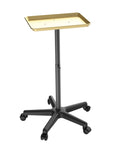 BaBylissPRO Mobile Tray Gold — CLIPRONS