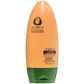 Ultimate Moroccan Argan Oil Moroccan Argan Oil Hydrating Shampoo - 300 ml — CLIPRONS