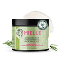 Mielle Organics Rosemary Mint Strengthening Hair Mask for Damaged Hair - Deep Conditioning Treatment Enriched with Biotin, Honey & Coconut Oil - Helps Encourage Longer, Healthier Strands (12 Oz) — CLIPRONS