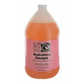 Biogro Neutralizing Shampoo with Color Indicator - 3.7L — CLIPRONS