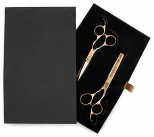 YOUS MX08 Presentation Box — CLIPRONS