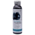 RUSK Puremix Activated Charcoal Purifying Shampoo, Cleanses and Absorbs Excess Oil, Dirt, and Gunk Without Stripping Away Natural Oils, 12 oz. — CLIPRONS