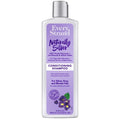 Every Strand Naturally Silver shampoo 13.5 oz — CLIPRONS