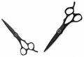 YOUS 5024 Scissors — CLIPRONS