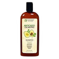 Fantasia Avocado Cilantro Shampoo 12 Ounce (355ml) — CLIPRONS